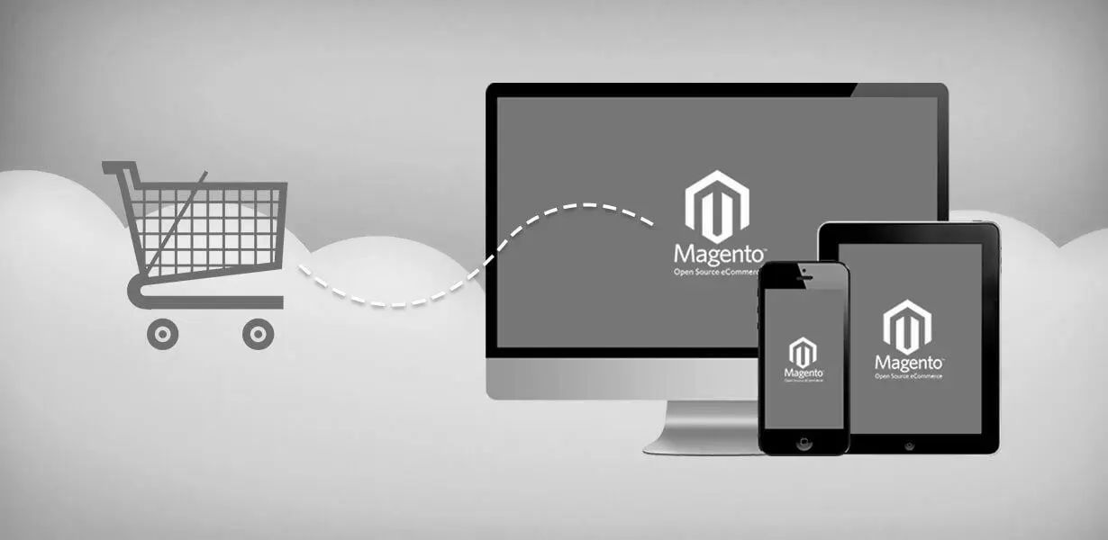 Magento store