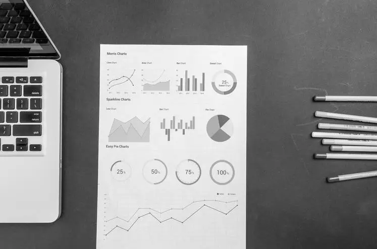 SEO audit charts